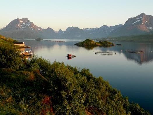ISLAS LOFOTEN, TESORO NATURAL