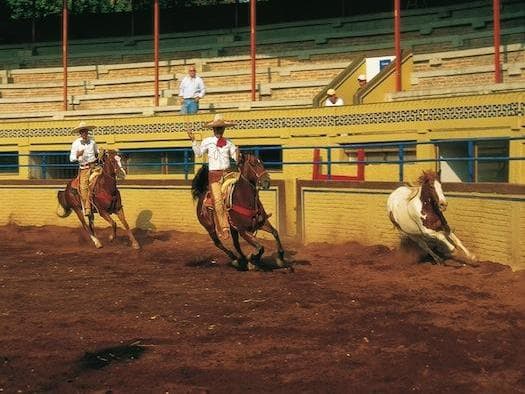 Jalisco, México: Sabor puro