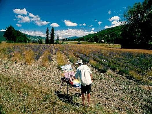 Provenza, Francia: Perfume de Francia