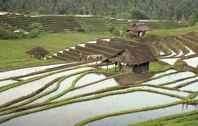 Bali, Indonesia: La morada de los dioses