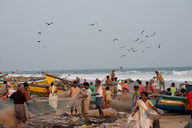 ORISSA, El alma de la India