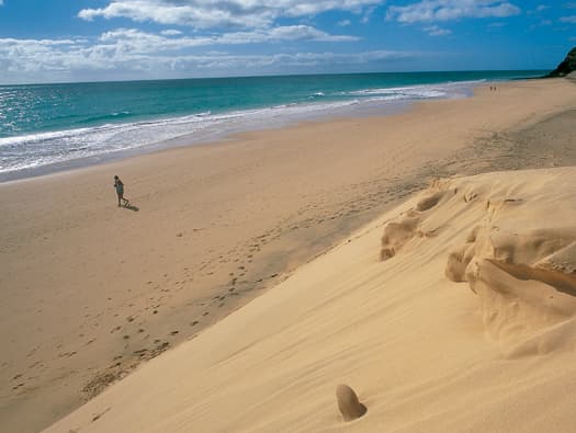 BUENAS RAZONES PARA ACERCARSE A FUERTEVENTURA