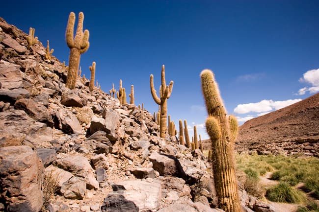 ATACAMA, CHILE: La inmensidad de un desierto nada común