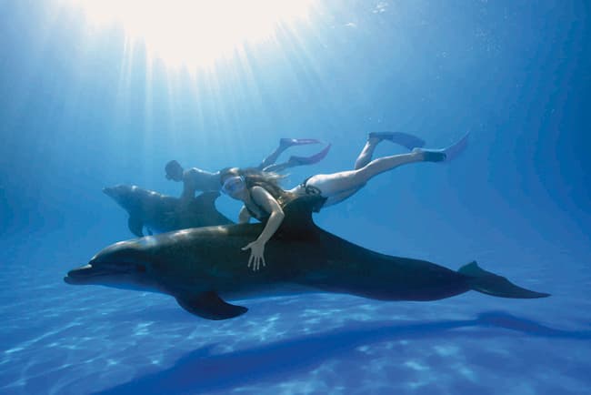PUERTO VALLARTA (MÉXICO): VACACIONES EN EL MAR (DEL SUR)