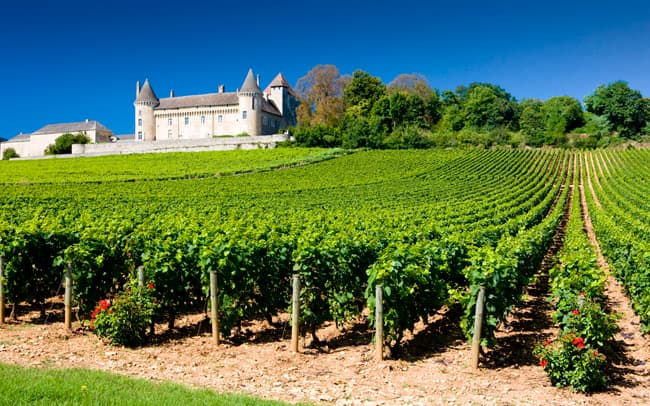 La ruta del BORGOÑA (FRANCIA), mucho más que vinos divinos