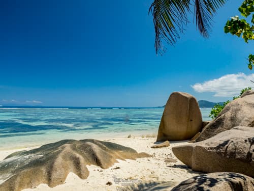 FANTÁSTICAS SEYCHELLES