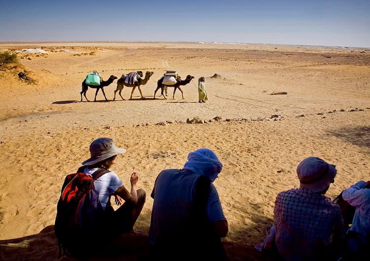 OASIS DE EGIPTO