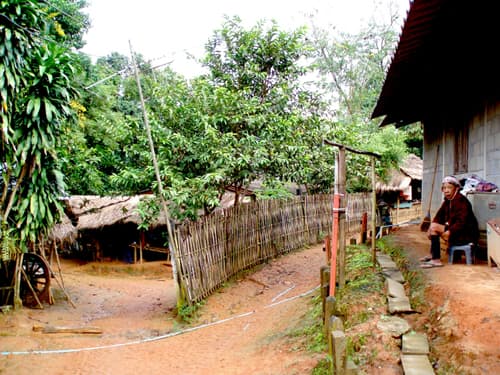 CON LOS AKHA, TAILANDIA. Caídos del techo del mundo