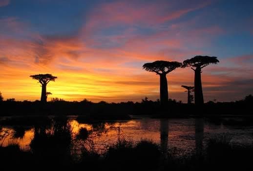 ETHIOPIAN AIRLINES APUESTA POR MADAGASCAR