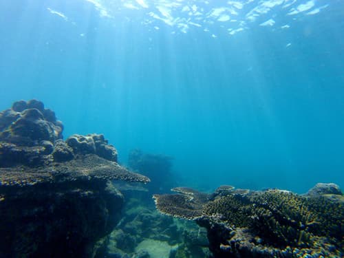 CON DAO (VIETNAM): MISTERIOSA BELLEZA
