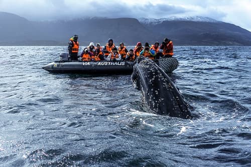 PATAGONIA: NUEVOS BARCOS, NUEVA RUTA