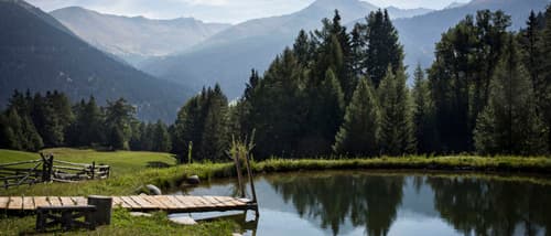 AUSTRIA: VACACIONES A LA TIROLESA