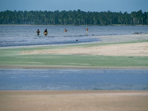 QUÉ HACER EN PENÍNSULA DE SAMANÁ (REPÚBLICA DOMINICANA)