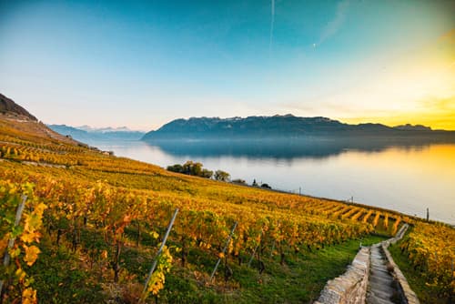 SUIZA: REGIÓN DE VAUD, DÓNDE NOS RECLAMA LA NATURALEZA