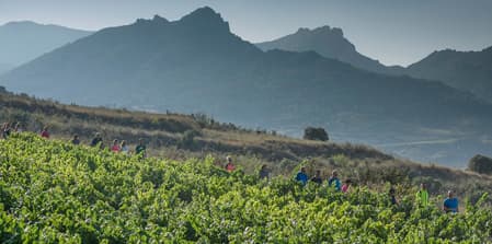 EL CAMINO OCULTO DE SANTIAGO Y LA RIOJA ALAVESA