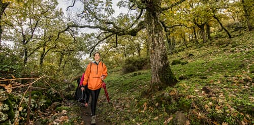 OTOÑO MÁGICO EN EL VALLE DEL AMBROZ