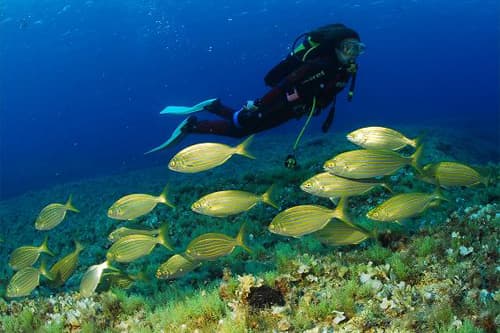 Porqué el agua de Formentera es tan cristalina?