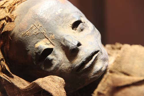 22 NUEVAS RAZONES PARA VISITAR EGIPTO